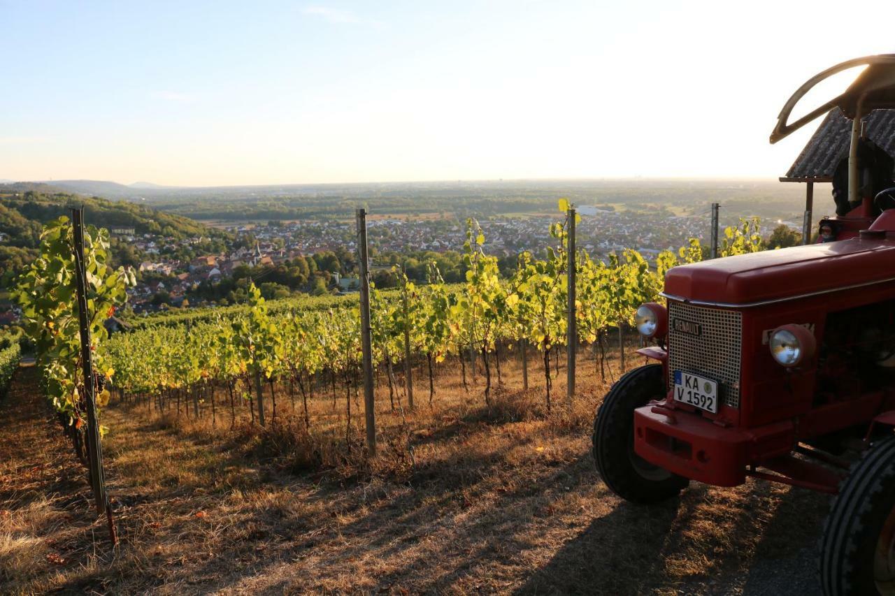 Soutterain - Wohnung Mit Senkgarten Weingarten  Esterno foto