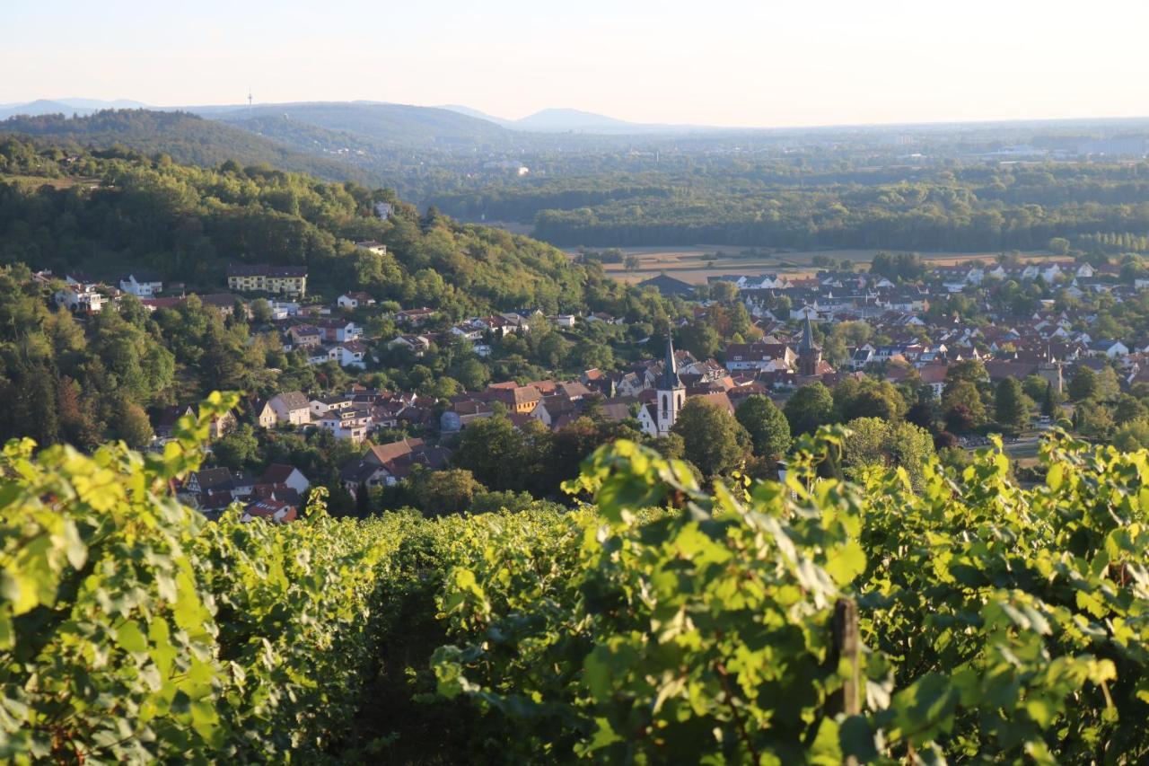 Soutterain - Wohnung Mit Senkgarten Weingarten  Esterno foto